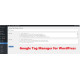 WordPress Google Tag Manager Plugin